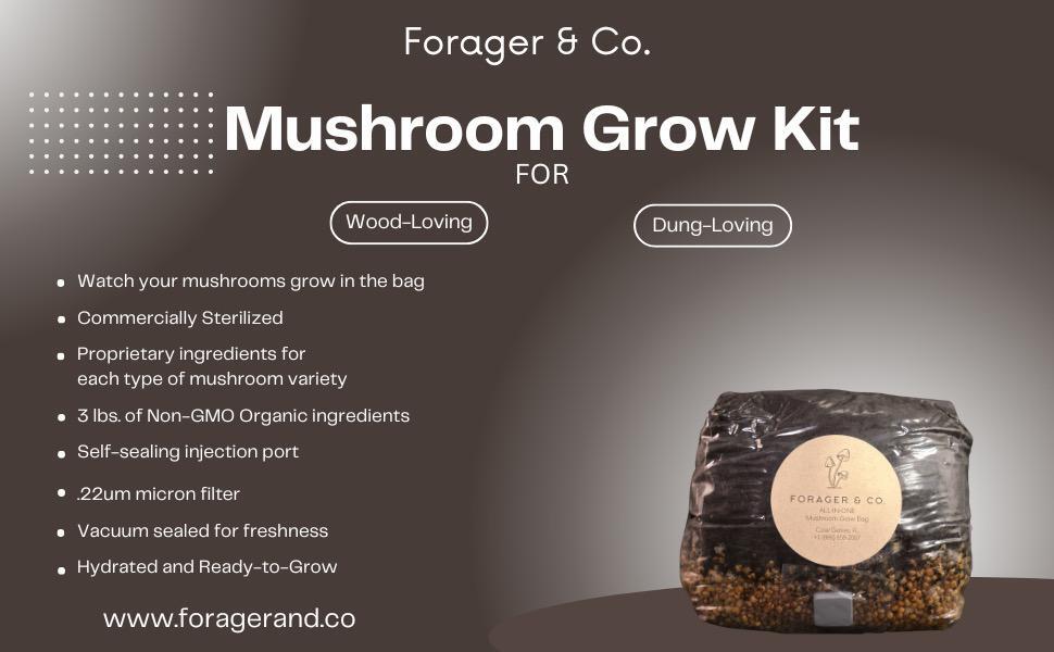 WhatsApp Image 2024-11-11 at 20.46.21_14099992