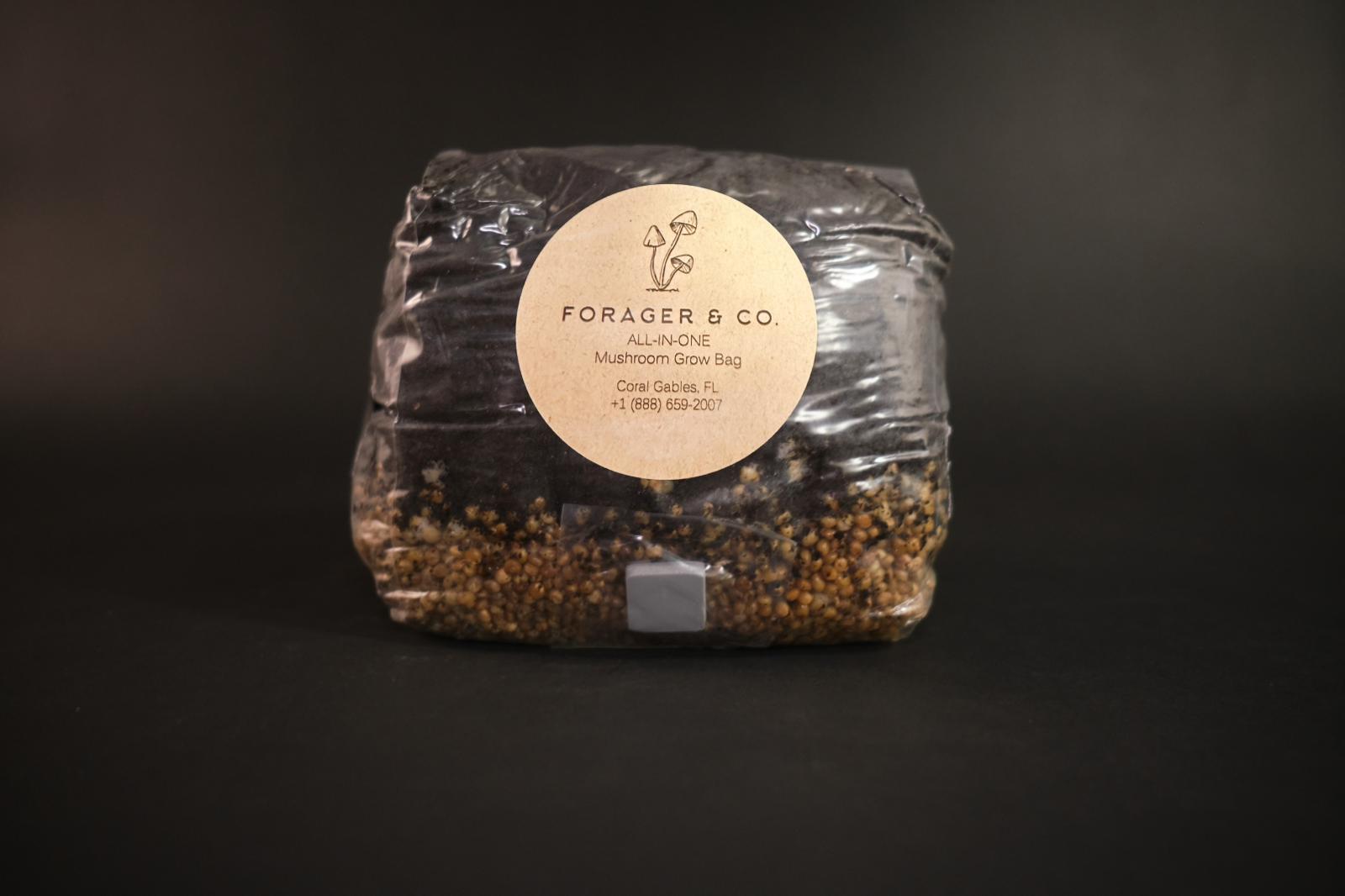 WhatsApp Image 2024-11-11 at 20.46.23_b1400262