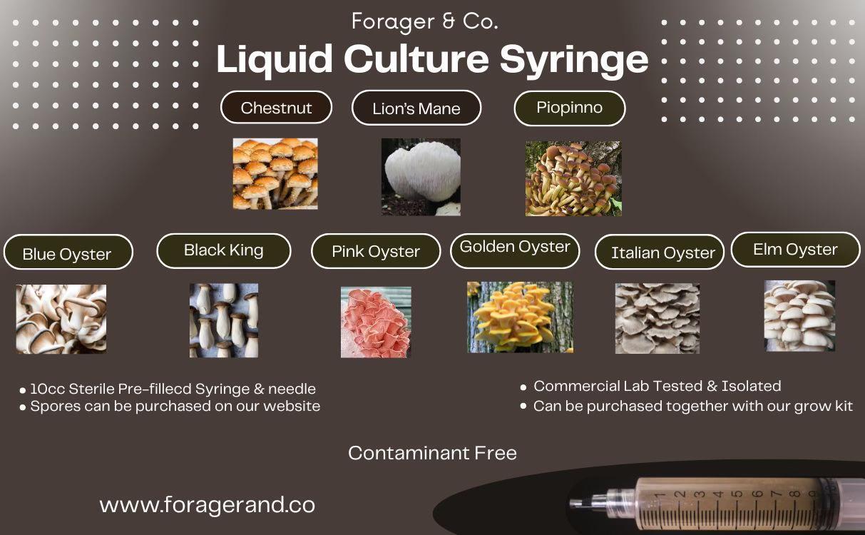 WhatsApp Image 2024-11-11 at 20.46.25_18465e55